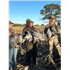 Image 3 : Combination Dove Hunt, Pigeon Hunt and fishing in Argentina.