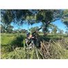 Image 4 : Combination Dove Hunt, Pigeon Hunt and fishing in Argentina.