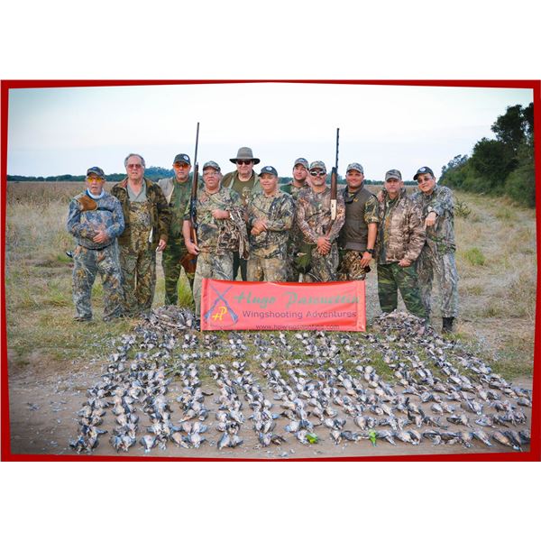 Dove and Pigeon Hunt in Argentina.