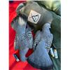 Image 2 : Dove and Pigeon Hunt in Argentina.