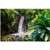 Image 4 : Caribbean Getaway for 2.
