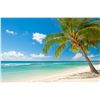 Image 5 : Caribbean Getaway for 2.