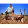 Image 3 : NB Safaris 7-Day South Africa Hunt for Four Hunters.