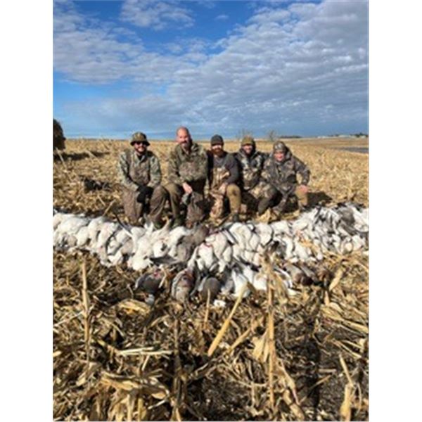 North Dakota Waterfowl.