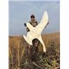 Image 4 : North Dakota Waterfowl.