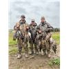 Image 5 : North Dakota Waterfowl.