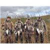 Image 6 : North Dakota Waterfowl.