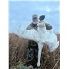 Image 7 : North Dakota Waterfowl.