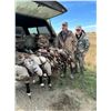 Image 8 : North Dakota Waterfowl.