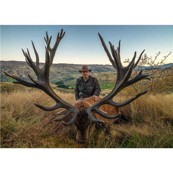 4 Day Trophy Red Stag Hunt with Venator New Zealand