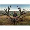 Image 1 : 4 Day Trophy Red Stag Hunt with Venator New Zealand