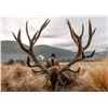 Image 3 : 4 Day Trophy Red Stag Hunt with Venator New Zealand