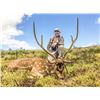 Image 1 : Trophy Axis deer hunt in Hawaii for 1 Hunter