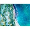 Image 2 : Trophy Axis deer hunt in Hawaii for 1 Hunter