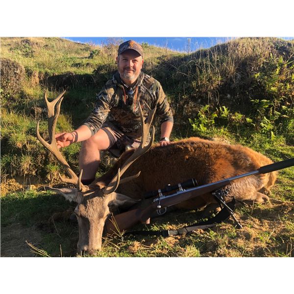New Zealand Red Stag and Fallow Buck Hunt for 2 Hunters
