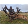 Image 2 : New Zealand Red Stag and Fallow Buck Hunt for 2 Hunters
