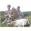 Image 3 : New Zealand Red Stag and Fallow Buck Hunt for 2 Hunters