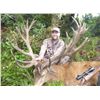Image 5 : New Zealand Red Stag and Fallow Buck Hunt for 2 Hunters