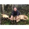 Image 6 : New Zealand Red Stag and Fallow Buck Hunt for 2 Hunters
