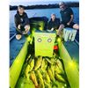 Image 6 : Bowfishing for 4 with HiLo Outfitters