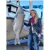 Image 8 : Bowfishing for 4 with HiLo Outfitters