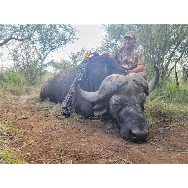 Cape Buffalo Cow Hunt, 10 Day Hunt, 2 Hunters with Ubathi Global Safaris