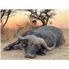 Image 3 : Cape Buffalo Cow Hunt, 10 Day Hunt, 2 Hunters with Ubathi Global Safaris