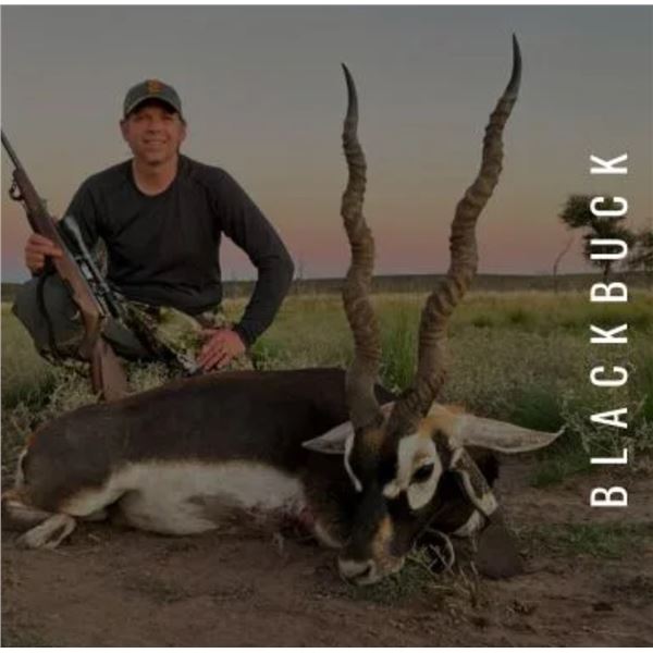Blackbuck, Patagonia Ram, 2 Wild Boars for 4 Hunters with Catena Safaris in Argentina