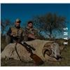 Image 2 : Blackbuck, Patagonia Ram, 2 Wild Boars for 4 Hunters with Catena Safaris in Argentina