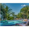 Image 7 : Winner's Choice between Costa Rica or Belize Dream Vacation for up to 8 people