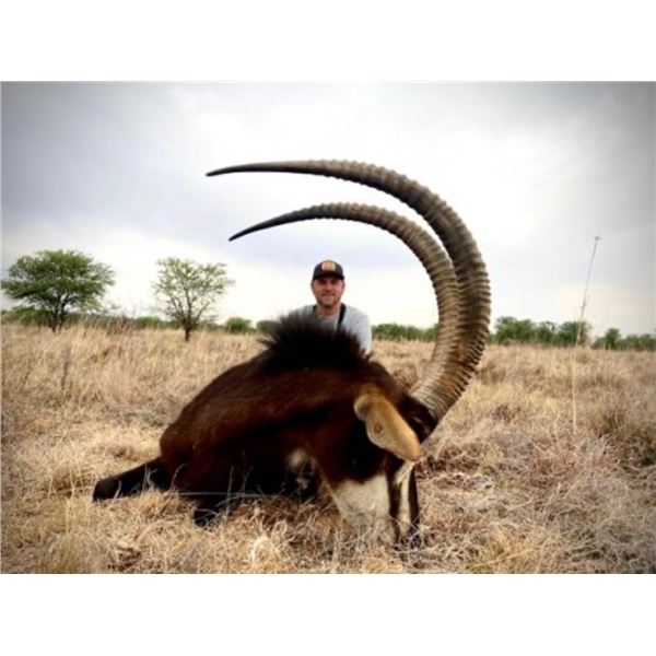 7 Day South Africa Safari- JW African Safaris