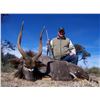 Image 3 : 7 Day South Africa Safari- JW African Safaris