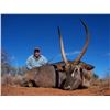 Image 4 : 7 Day South Africa Safari- JW African Safaris