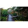 Image 3 : Belize Jungle River Fishing & Jungle Adventure Excursions for 2