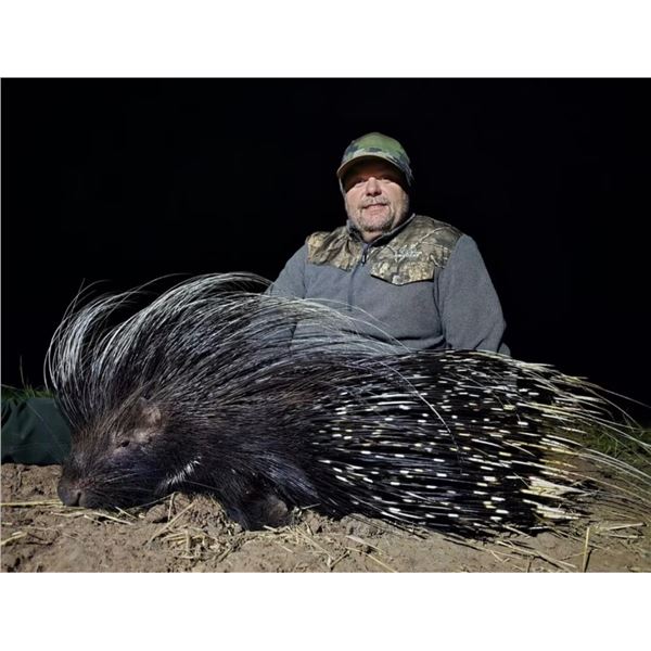 Hunt for 2 - Zebra or Wildebeest, Porcupine, & Impala - Monkane Safaris South Africa