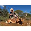 Image 4 : Hunt for 2 - Zebra or Wildebeest, Porcupine, & Impala - Monkane Safaris South Africa