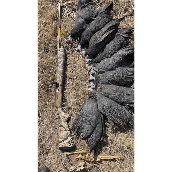 South African Bird Hunt and Big Game Hunt for 2