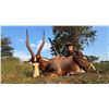 Image 3 : South African Bird Hunt and Big Game Hunt for 2