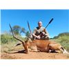 Image 4 : South African Bird Hunt and Big Game Hunt for 2