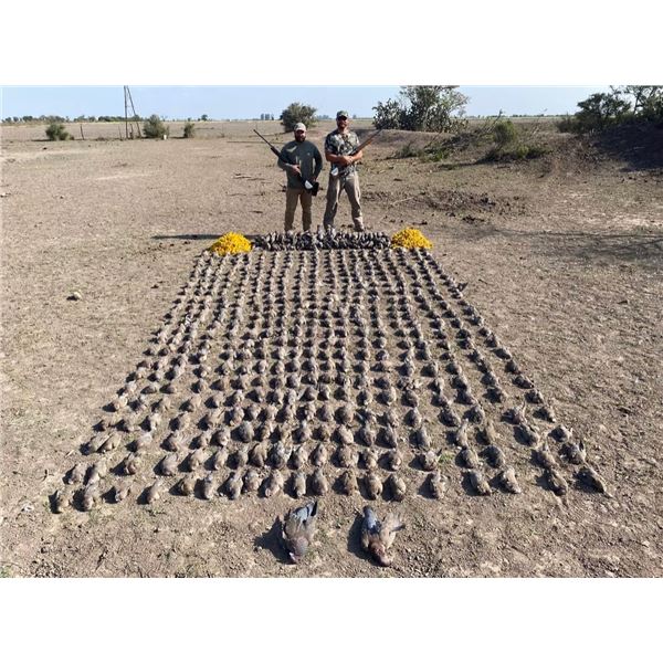 Argentina Dove Hunt for 4 Hunters/4 Days