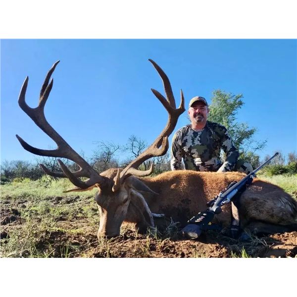 Northern Patagonia, Argentina Stag and Wild Boar Hunt for 2 with Mapu Hunting Lodge
