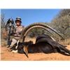 Image 2 : African Arrow Safaris, 10 day hunt for 4 Hunters
