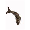 Image 1 : Mexican Abalone Articulated Fish Bottle Opener