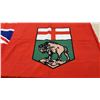 Image 3 : Manitoba Provincial Flag with Union Jack and Bison Shield Crest
