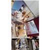 Image 5 : Collection of Vintage Color and Black-And-White Photographs, Various Subjects and More 20 x 17"