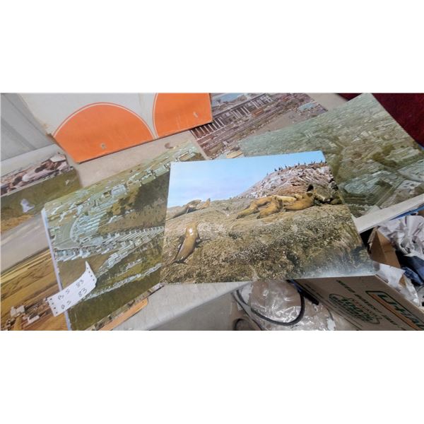 Fitzhenry & Whiteside Limited One World Educational Photo Card Set Appox.40