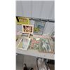 Image 1 : Stained Glass Hummingbird Panel, Snow White Print, Paint by Numbers, Mirror, and More