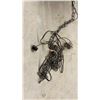 Image 5 : Vintage Smoked Acrylic Petal Swag Hanging Pendant Lamp with Chain and Cord