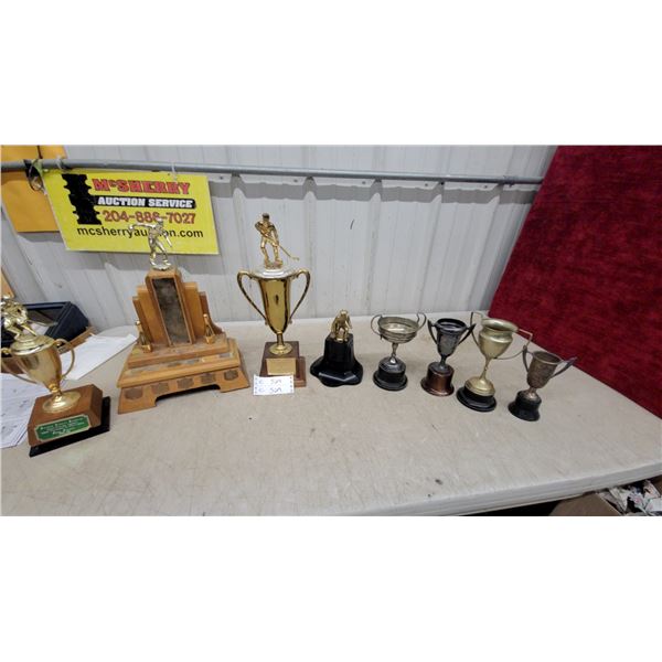 Collection of Vintage Sports Trophies Including Hockey and Bowling Awards and More