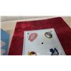 Image 3 : VintageNHL Hockey Team Logo Frosted Glass Ceiling Light Shade 14 x 14"